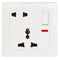 Terminator Wall Plate with One Universal Socket & One 2RP Socket with Switch and Indicators