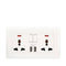 Terminator  Wall Plate with 2 Universal Sockets, Switches, Neon Indicators and 2 USB