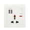 Terminator Wall Plate with One Universal Socket, Switch, Neon and 2 USB