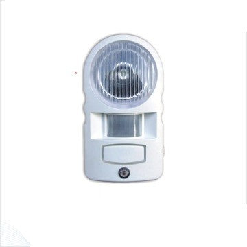 Energy Saving Inductive Light - RL-0313
