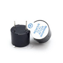 Active Buzzer（  12V ）