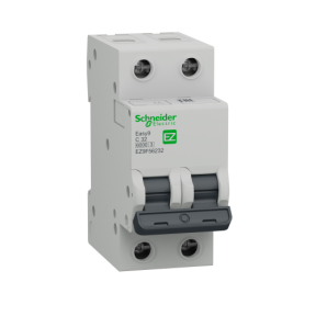 DZL3N Residual Current Circuit Breaker 2P 32A