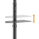 [82117] Mobile TV Cart/Trolley 32’’-55’’ Flat Panel Displays up to 35kg/77lbs Image 