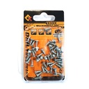 [82657] Galvanized cross countersunk head tapping screws 2.5x10 Image 