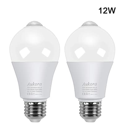 Motion Sensor Light
