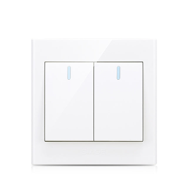250V 10A 2Gang 1Way Switch