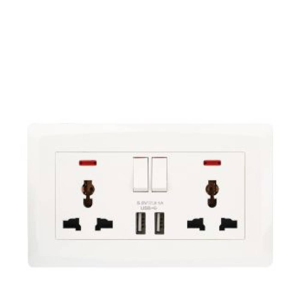Terminator  Wall Plate with 2 Universal Sockets, Switches, Neon Indicators and 2 USB