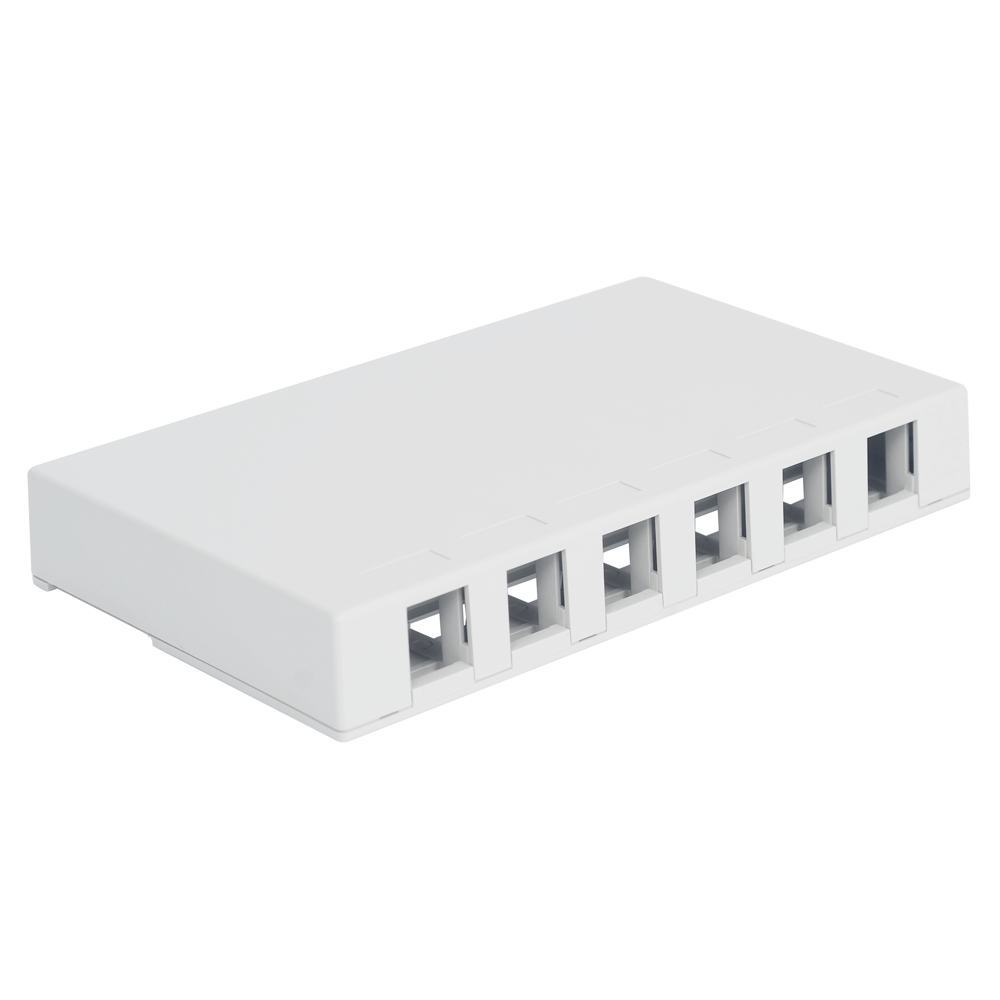6 Port Surface Face Plate