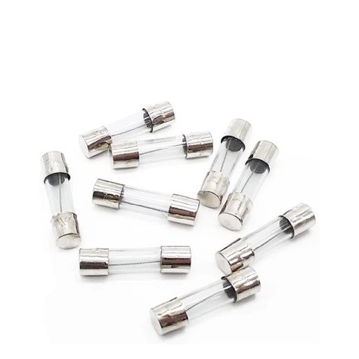 [80392] Glass fuse 20MM--10A