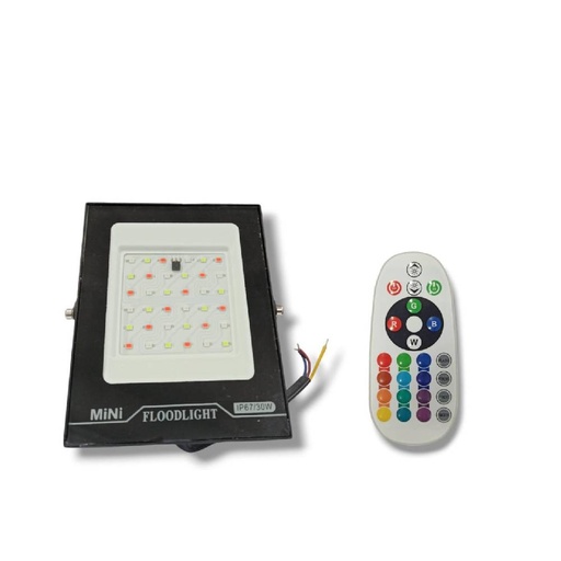 [82258] 30W 220V Waterproof LED/RGB Outdoor Floodlight With Remote Control