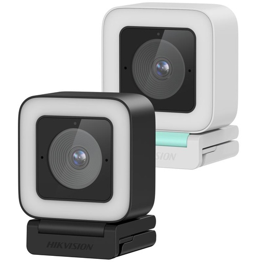 [84241] Hikvision 4MP AI Web Camera