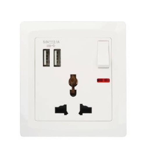 [84835] Terminator Wall Plate with One Universal Socket, Switch, Neon and 2 USB