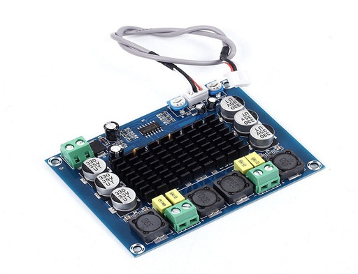 [85928] XH-M542 Mono 100W Digital Power Amplifier Board