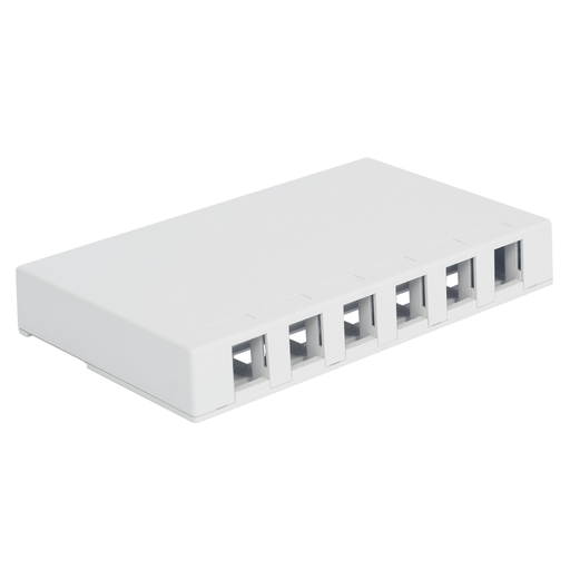 [85961] 6 Port Surface Face Plate