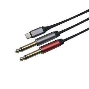 [87046] S.WIELER TypeC To 2x6.35TS 1M