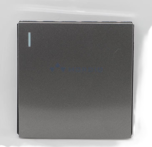 [87154] Siase 1 Gang 2 Way Switch - Grey